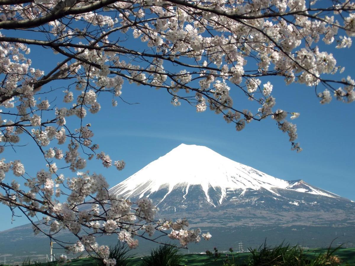 Fuji-Shi Business Hotel Furuiya Ryokan Фуджи Екстериор снимка